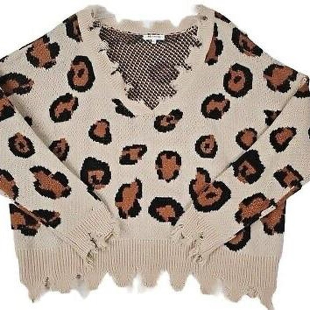 Miracle Cream and Brown V-Neck Sweater